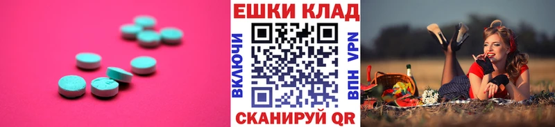 Ecstasy бентли  Суджа 