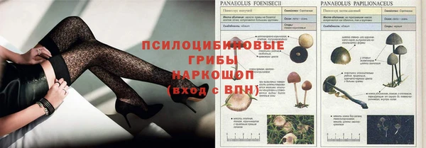 mdpv Алексин