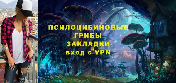 гидра Алзамай