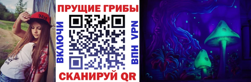 Галлюциногенные грибы мухоморы  Суджа 